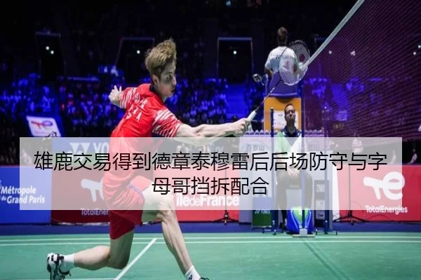 雄鹿交易得到德章泰穆雷后后场防守与字母哥挡拆配合