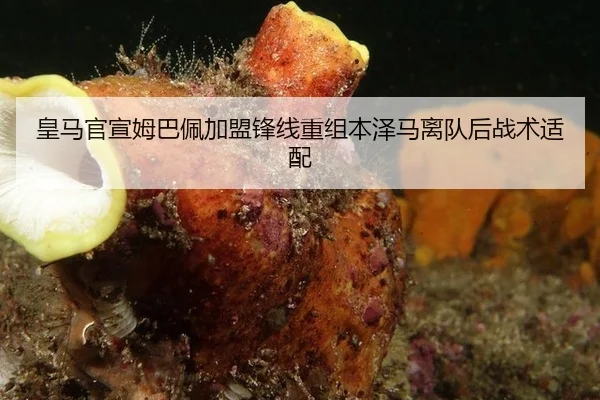 皇马官宣姆巴佩加盟锋线重组本泽马离队后战术适配